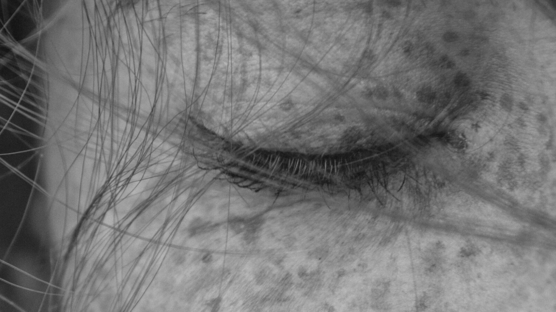 Can Your Skincare Stop Working Because of Tachyphylaxis?